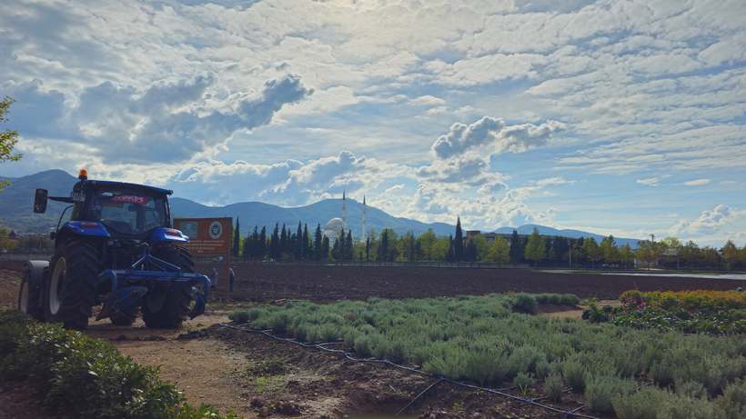 Prof. Dr. Mehmet Ufuk Kasım anlatıyor: İstanbul pazarı için Kocaeli tarımı planlanmalı! - Resim : 3