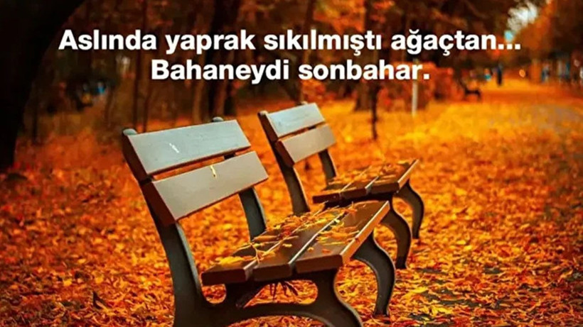 1 KASIM MESAJLARI VE DUYGU DOLU SÖZLER 2025 || En Güzel, Duygusal, Resimli Kasım Ayı Sözleri - Resim: 1