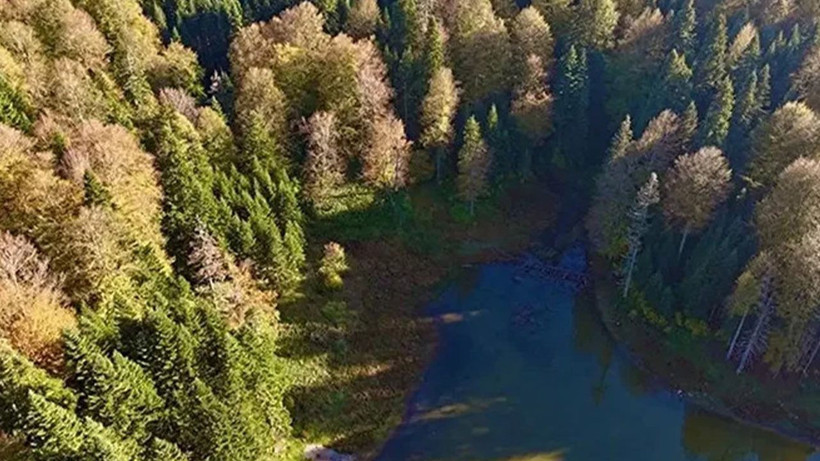 1 KASIM MESAJLARI VE DUYGU DOLU SÖZLER 2025 || En Güzel, Duygusal, Resimli Kasım Ayı Sözleri - Resim: 2