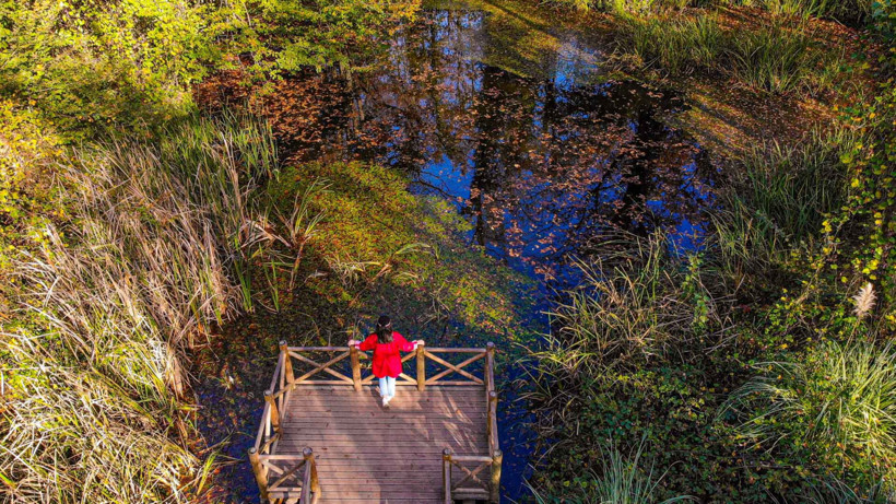 Ormanya'da sonbahar... Görenler mest oluyor - Resim : 1