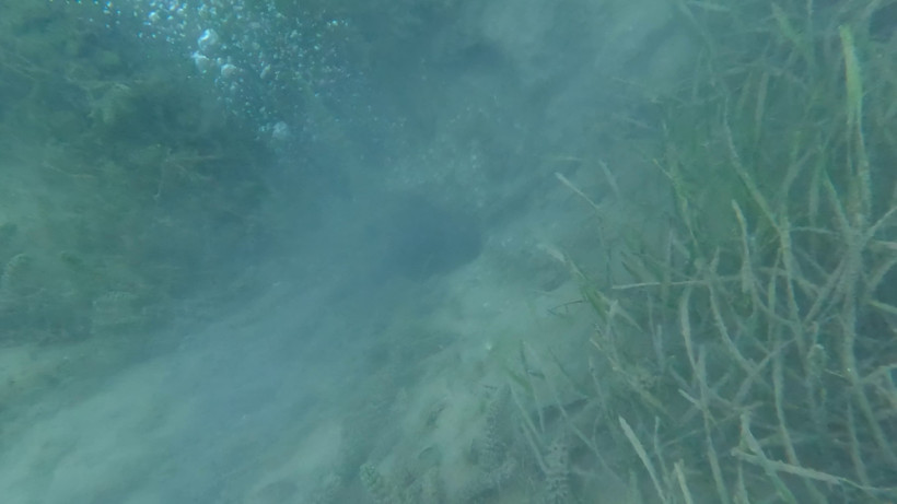 Sapanca Gölü'nde endişelendiren görüntü! Havadan ve su altından görüntülendi - Resim : 6