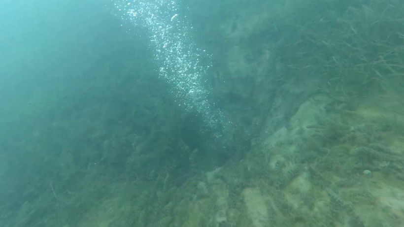 Sapanca Gölü'nde endişelendiren görüntü! Havadan ve su altından görüntülendi - Resim : 5