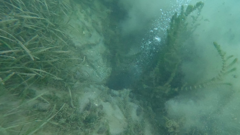 Sapanca Gölü'nde endişelendiren görüntü! Havadan ve su altından görüntülendi - Resim : 4
