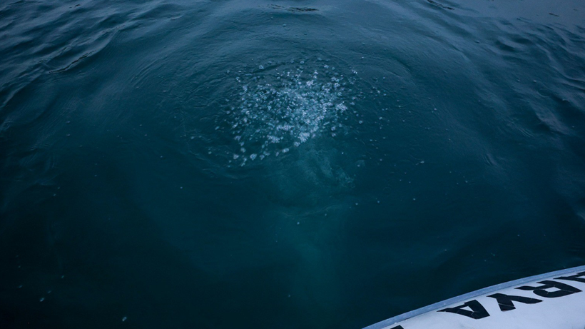 Sapanca Gölü'nde oluşan kabarcıklar deprem korkusuna sebep oldu: Herkes korkuyor, rahat uyuyamıyoruz - Resim : 1