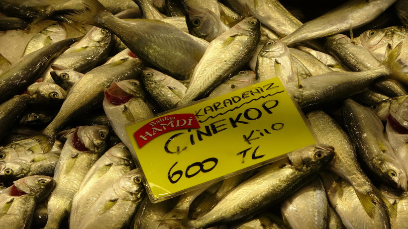 Çeşit var bolluk yok... Kocaeli'de balık fiyatları düşecek mi? - Resim : 4