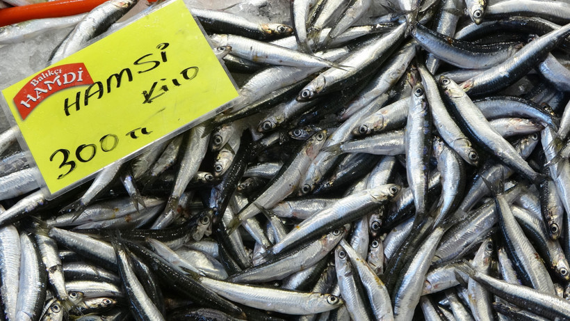 Çeşit var bolluk yok... Kocaeli'de balık fiyatları düşecek mi? - Resim : 3