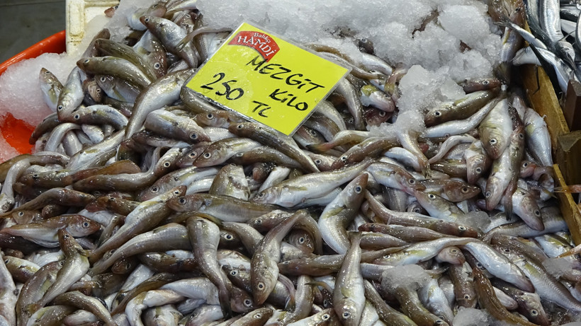 Çeşit var bolluk yok... Kocaeli'de balık fiyatları düşecek mi? - Resim : 2