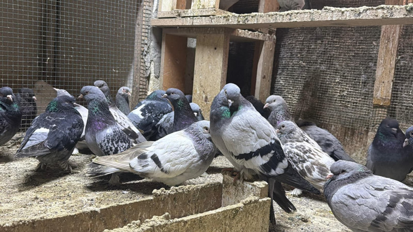 Gökyüzündeki milyonluk tutku: Bu işin bir sonu yok - Resim : 1