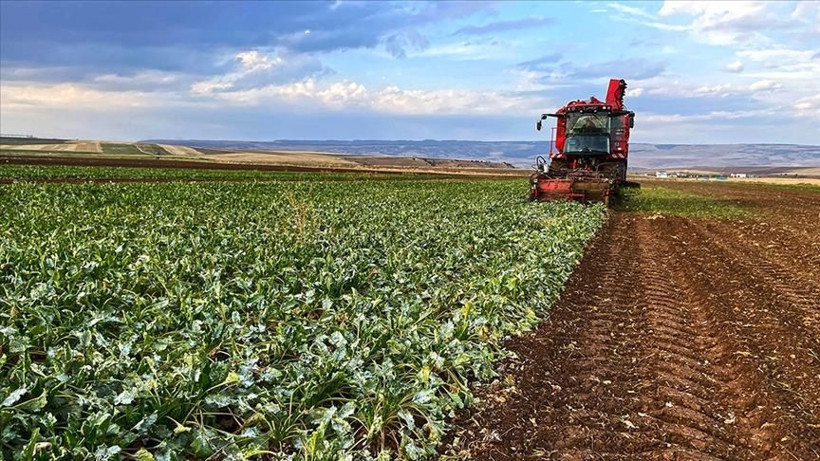 Çiftçilerin ne kadar aldığı belli oldu - Resim: 4