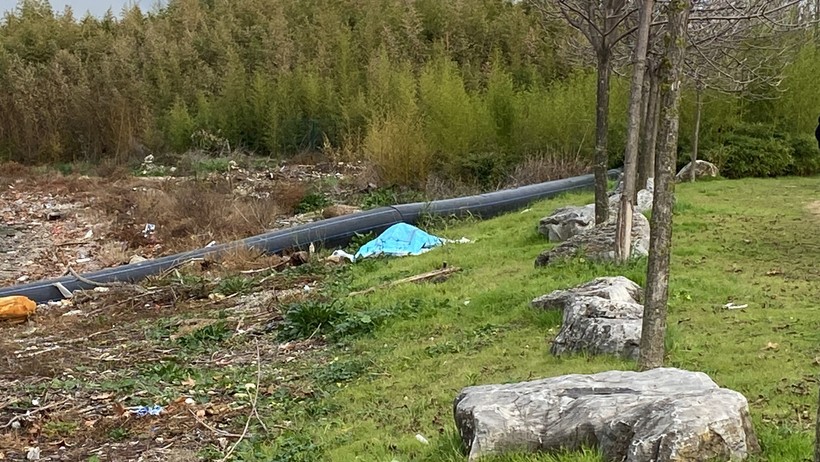 İzmit Körfezi'nde ceset bulundu! - Resim : 2