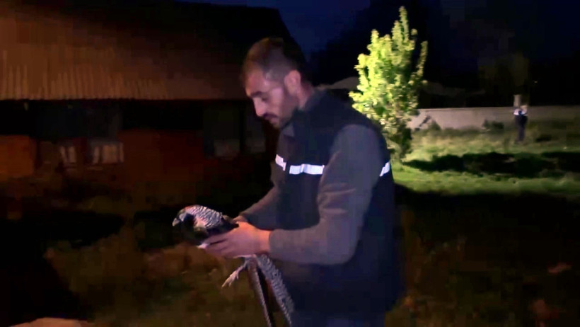 Evinden çıkanlar hayrete düşürdü! Onlarca kaçak... - Resim : 3