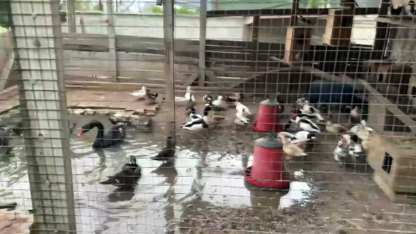 Evinden çıkanlar hayrete düşürdü! Onlarca kaçak... - Resim : 2