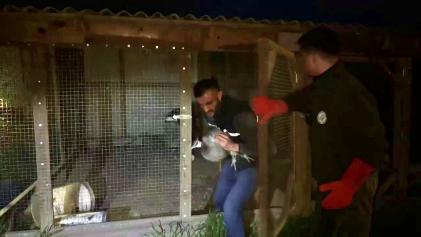 Evinden çıkanlar hayrete düşürdü! Onlarca kaçak... - Resim : 1