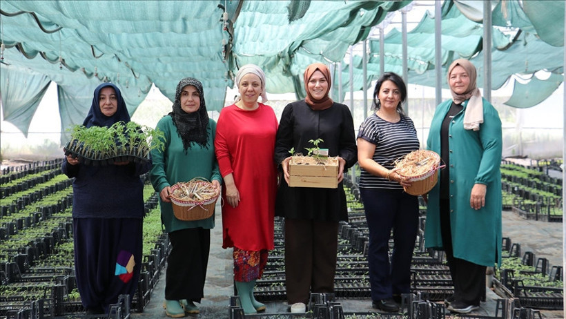 Kocaeli’de girişimci kadınlardan çok özel proje… Ata tohumundan fide üretiyorlar - Resim : 1