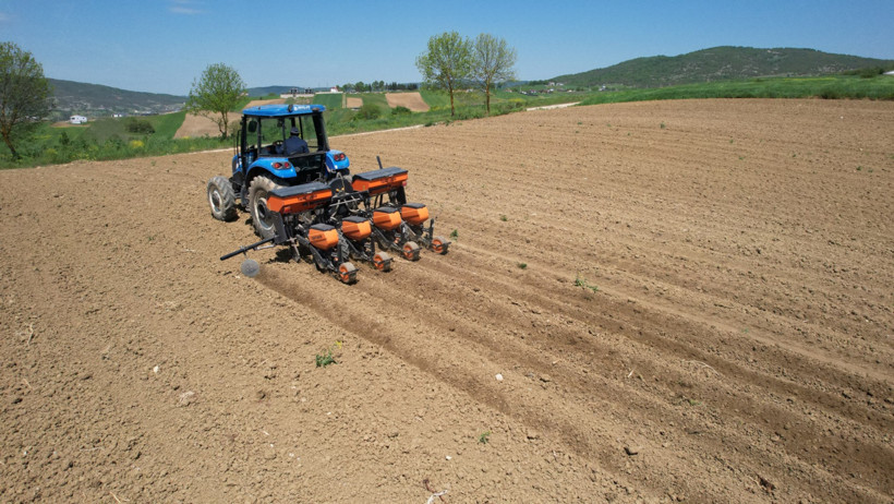 Kocaeli'nde mısır tohumları toprakla buluşuyor! - Resim : 1