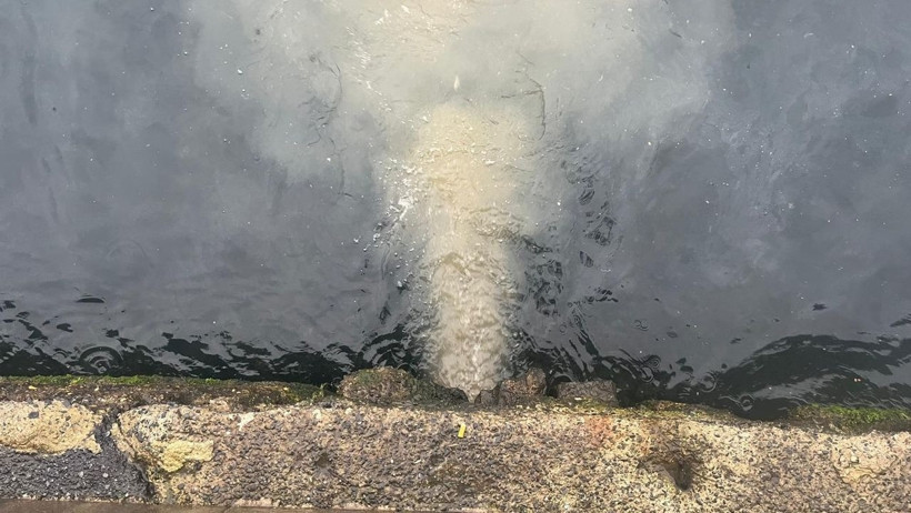 Marmara Denizi’ne hala atık sular arıtılmadan boşaltılıyor! - Resim : 1