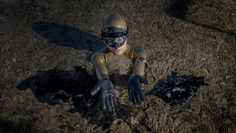 Müsilaj yeniden görülmeye başlandı… Marmara'nın kaderi Karadeniz'e bağlı - Resim : 3