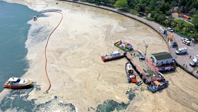 Aykan Karademir'den Marmara Denizi değerlendirmesi: Azot ve fosforun sıfıra inmesi mümkün değil! - Resim : 1