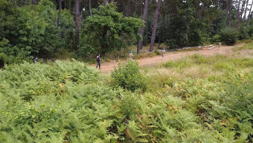 Jandarma'dan yangın tedbirlerine yönelik açıklama - Resim : 5