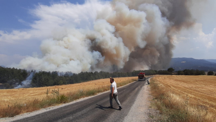 Anız yangını ormana sıçradı! - Resim : 1