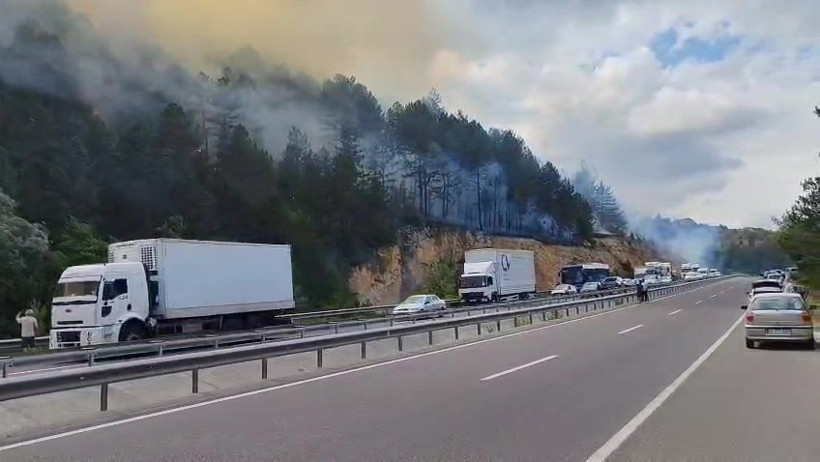 Korkutan orman yangını yayılıyor! Dört koldan müdahale... - Resim : 5
