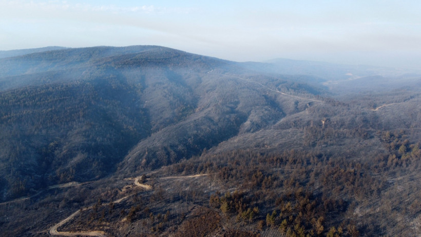 Çanakkale yangınlarında yanan ormanlık alan 5 bin 236 hektar - Resim : 2