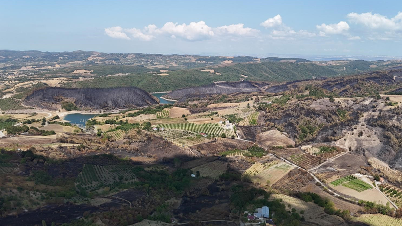 Karamürsel'de acı manzara: Yangının tahribatı gözler önüne serildi! - Resim : 2