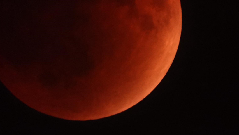 Kocaeli'de görsel şölen! - Resim : 1