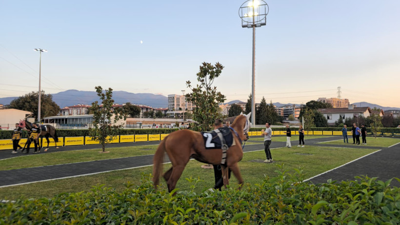 Kartepe Hipodromu’nda sona yaklaşıldı... Kocaeli Vali Koşusu gerçekleştirildi - Resim : 4