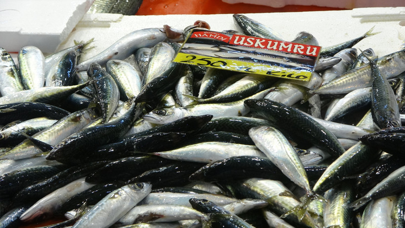 Fiyatlar düştü: Ekim ayında balık tezgahları dolup taşacak! - Resim : 1