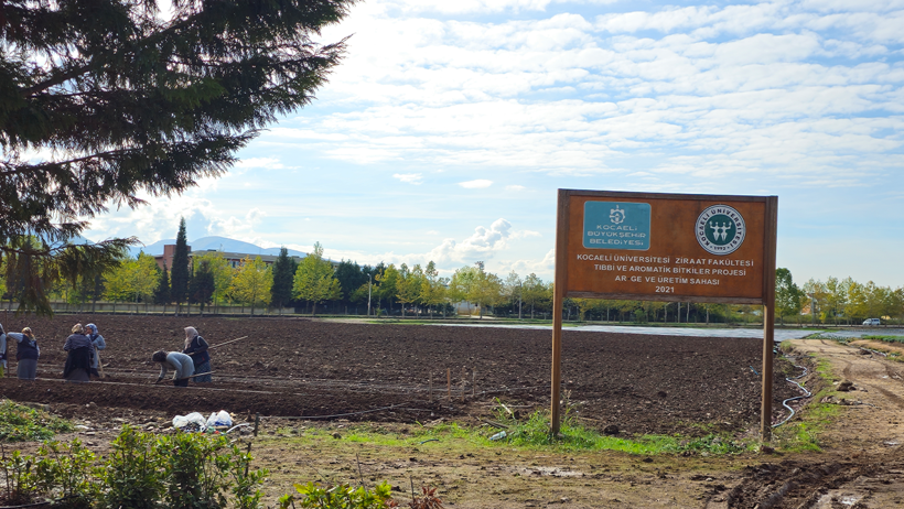 Prof. Dr. Mehmet Ufuk Kasım anlatıyor: İstanbul pazarı için Kocaeli tarımı planlanmalı! - Resim : 2