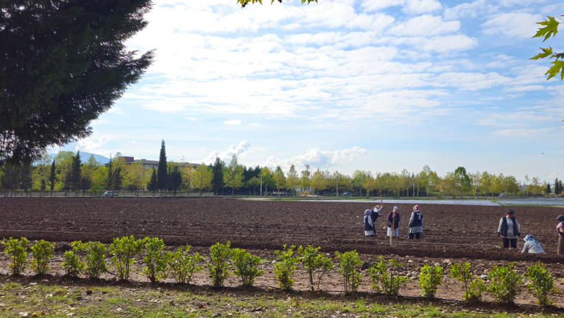Prof. Dr. Mehmet Ufuk Kasım: Bugün hala iyi günlerimiz dünya tropik çağa doğru gidiyor - Resim : 4