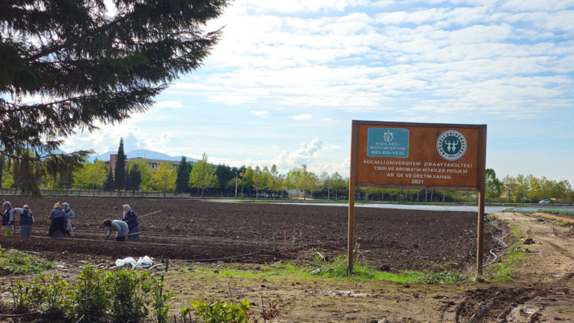 Prof. Dr. Mehmet Ufuk Kasım: Bugün hala iyi günlerimiz dünya tropik çağa doğru gidiyor - Resim : 3