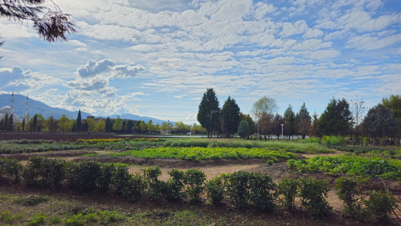 Prof. Dr. Mehmet Ufuk Kasım: Bugün hala iyi günlerimiz dünya tropik çağa doğru gidiyor - Resim : 2