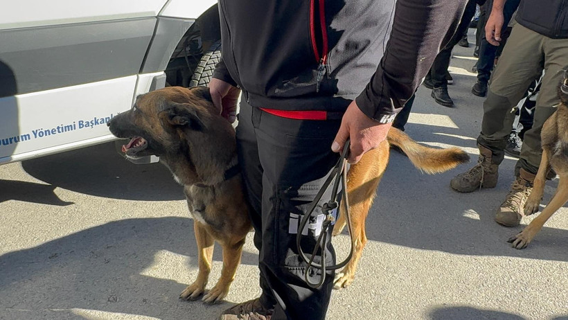 Arama kurtarma köpekleri enkaz alanında - Resim : 1