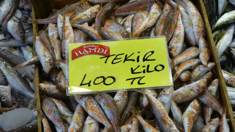 Çeşit var bolluk yok... Kocaeli'de balık fiyatları düşecek mi? - Resim : 5