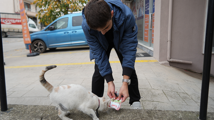 Kocaeli Veteriner Hekimler Oda Başkanı Mehmet Bostancı'dan sokak kedileriyle ilgili kritik uyarılar! - Resim : 1