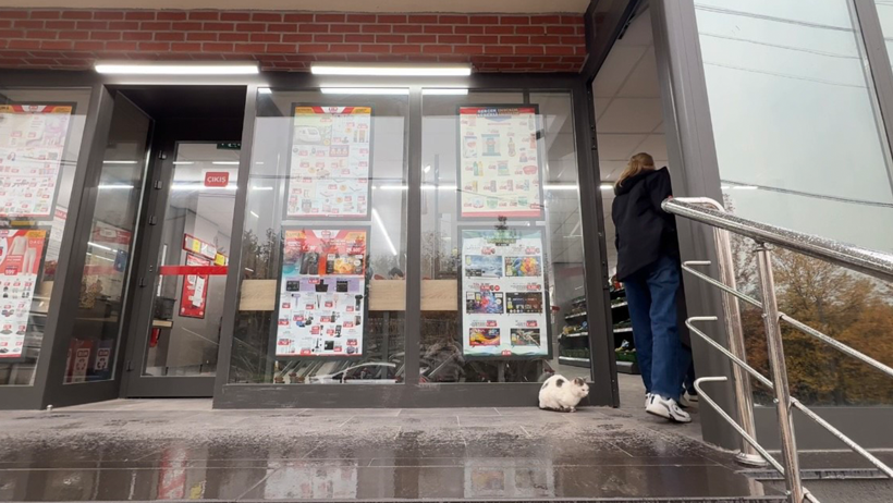 Kocaeli Veteriner Hekimler Oda Başkanı Mehmet Bostancı'dan sokak kedileriyle ilgili kritik uyarılar! - Resim : 2