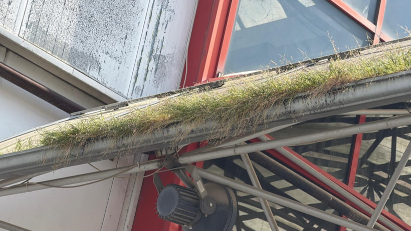 Göz göre göre çürüyor! 9 yıldır kimse yüzüne bakmıyor - Resim : 10