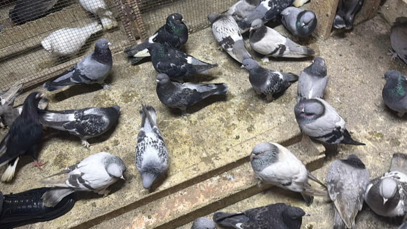 Gökyüzündeki milyonluk tutku: Bu işin bir sonu yok - Resim : 4