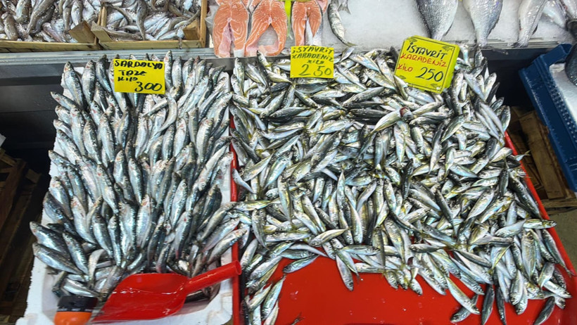 Av yasağı öncesi balık tezgahlarında son durum - Resim : 4