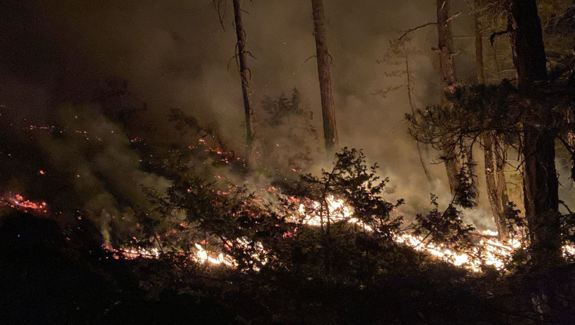 Orman yangını 8 saat sonunda kontrol altına alındı! - Resim : 1