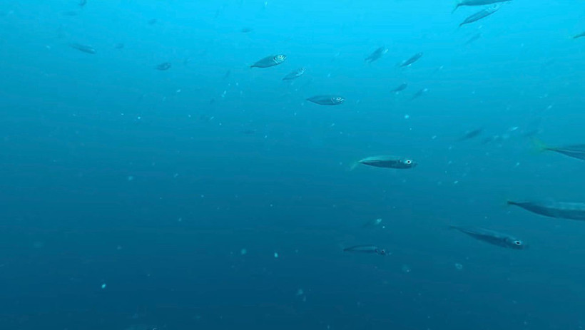 Tahir Büyükakın, "Şu güzelliğe bakar mısınız?" diyerek paylaştı! İşte o görüntüler - Resim : 1