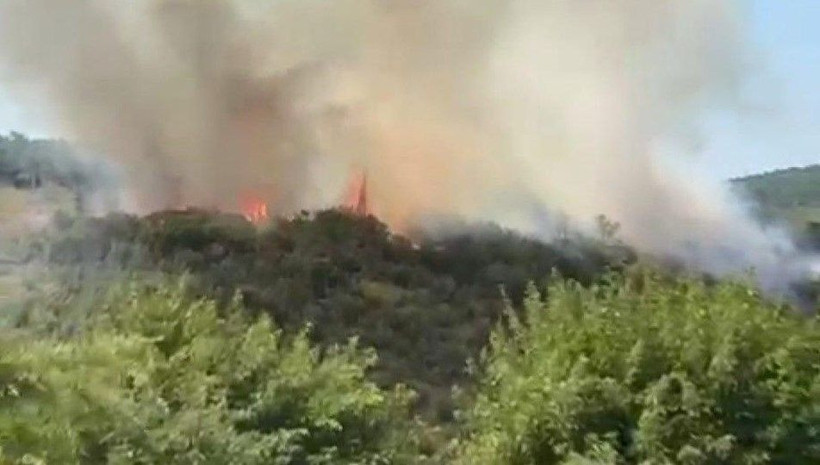 İstanbul'da orman yangını - Resim: 3