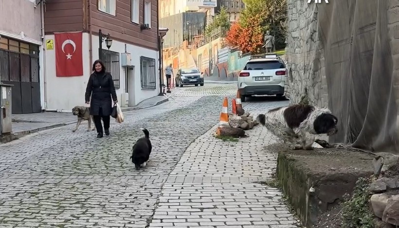 Sokak hayvanlarının Nurhan teyzesi… “Aç kalacaklar endişesiyle yatılı misafirliğe bile gitmiyorum” - Resim : 3