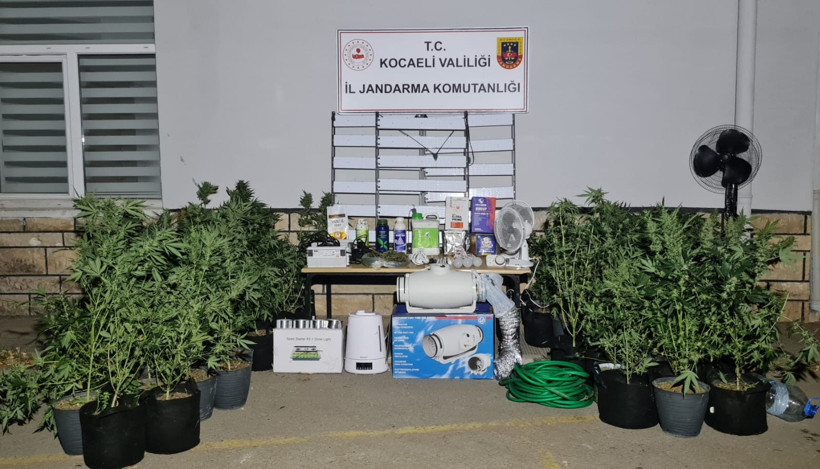 Evini uyuşturucu serasına çevirmiş! - Resim : 2