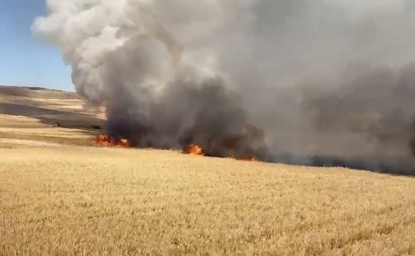 Çıkan yangında 3 bin dekar buğday tarlası zarar gördü - Resim : 1