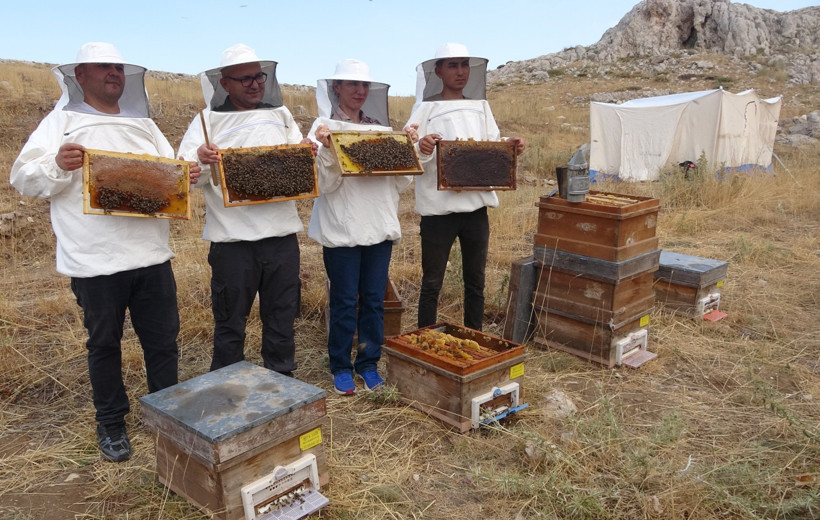 Dünyanın en iyi balı petekleri doldurdu - Resim : 1