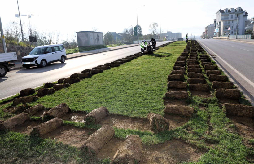 Sökülen ağaçlar yeni yerlerinde hayat bulacak - Resim : 3