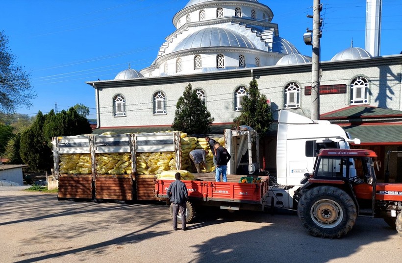 Kocaeli’de 36 bin dekar mısır tarlası desteklenecek! - Resim : 4